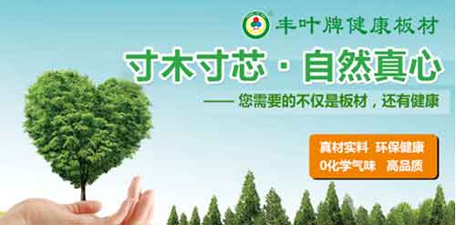 豐葉板材品牌,釋放健康新力量 豐葉板材品牌,釋放健康新力量