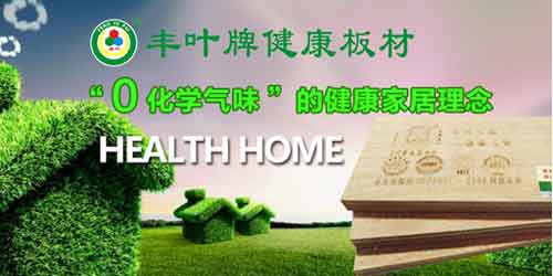 豐葉斬獲十大板材品牌榮譽(yù) 豐葉斬獲十大板材品牌榮譽(yù)