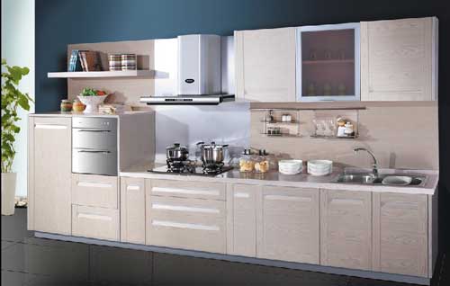 廚衛(wèi)行業(yè)持續(xù)增長(zhǎng)可預(yù)期 企業(yè)還需以實(shí)力做好品牌化 廚衛(wèi)行業(yè)持續(xù)增長(zhǎng)可預(yù)期 企業(yè)還需以實(shí)力做好品牌化