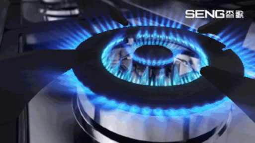 森歌A6集成灶系列：立體進風不跑煙！