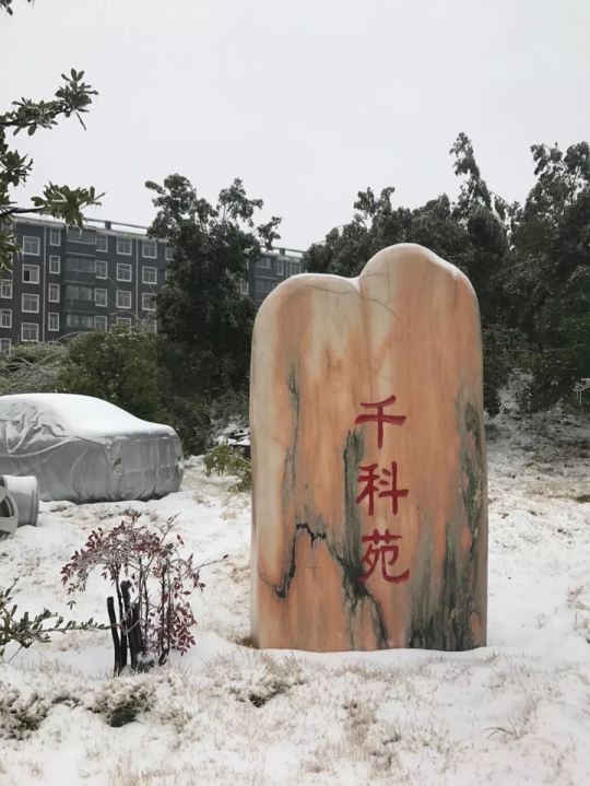 千科廚衛(wèi)電器潘遠(yuǎn)宏:智能產(chǎn)品、智慧營銷一手抓,終端是品牌最后浪潮! 千科廚衛(wèi)電器潘遠(yuǎn)宏:智能產(chǎn)品、智慧營銷一手抓,終端是品牌最后浪潮!