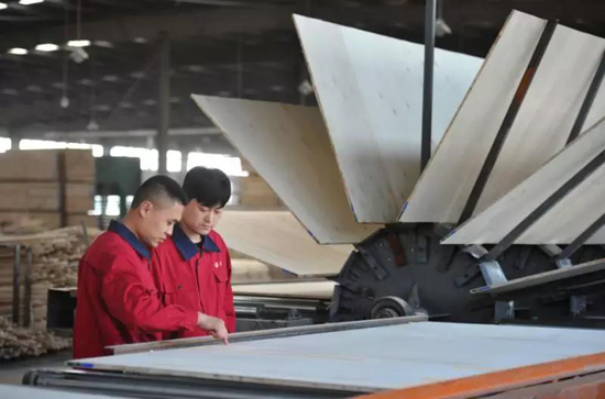 品牌榮譽|2018中國板材十大品牌評選 鵬鴻獨攬5項大獎