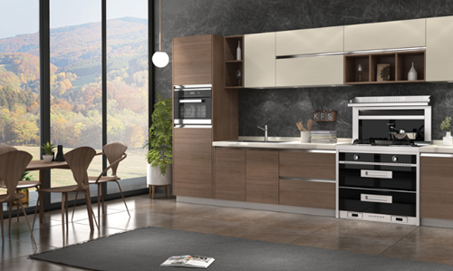 推行標準化發展 集成灶企業發展道路才可越來越寬 推行標準化發展 集成灶企業發展道路才可越來越寬