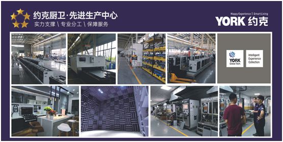 YORK約克廚衛：堅持專業深耕，品質導向品牌價值