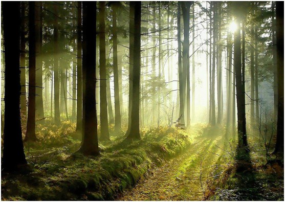 陽光之諾 星空之約 伊盾門窗陽光房帶你探尋北歐秘境 陽光之諾 星空之約 伊盾門窗陽光房帶你探尋北歐秘境