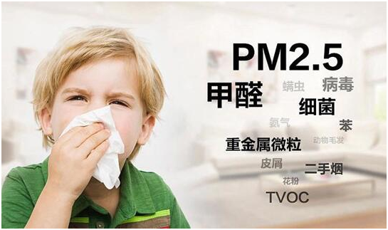 綠樹漆|“凈味呼吸”系列漆，開啟家居新“凈”界